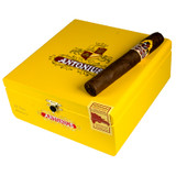 Antonius Maduro Toro