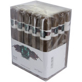 Asylum Schizo 70x7