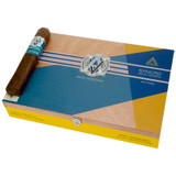AVO Syncro South America RITMO Special Toro (BP)