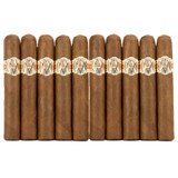 AVO XO Intermezzo 10-Pack