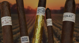 Top 5 Best Selling Liga Privada by Drew Estate Cigars