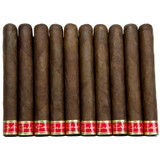 Cain 550 F Habano 10-Pack