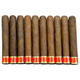 Cain Daytona 550 Robusto 10-Pack